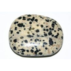 Jaspis - dalmatiër